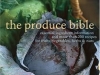 bible.jpg