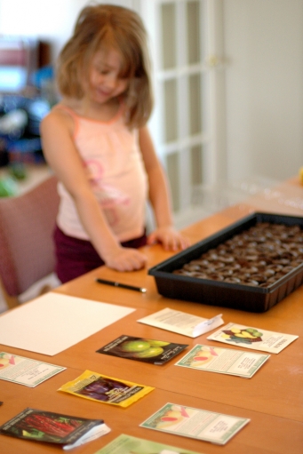 starting garden from seed