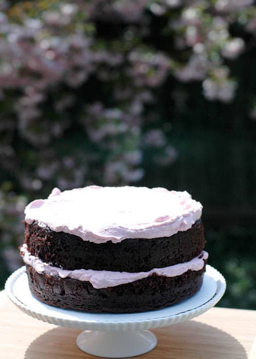 favorite chocolate cake-1