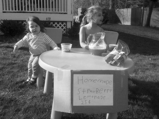lemonade-stand-15 lemonade-stand-15