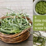 garlic scapes garlic scapes