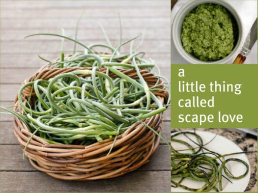 garlic scapes