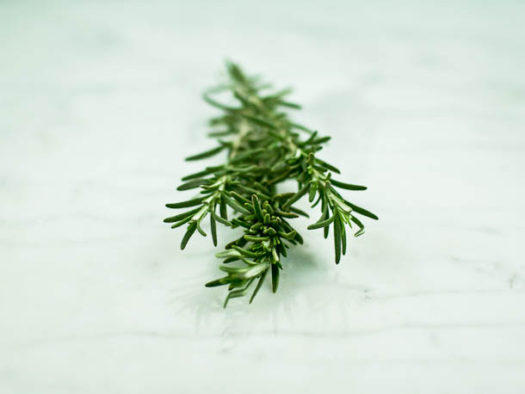 rosemary