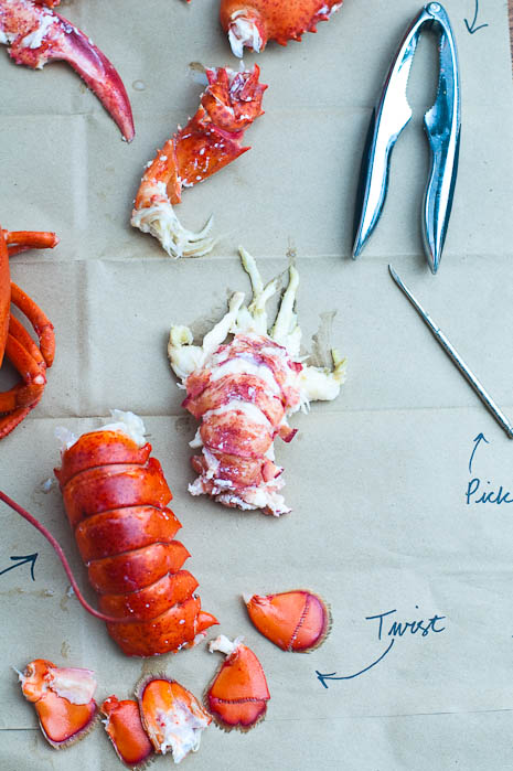 Lobster Parts | Umami Girl