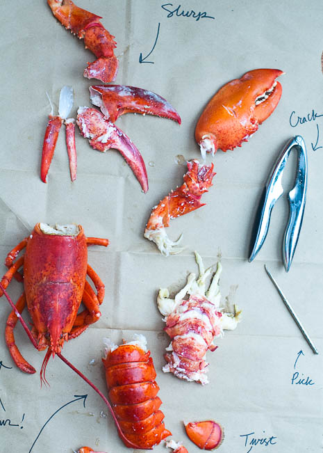 Lobster Parts | Umami Girl