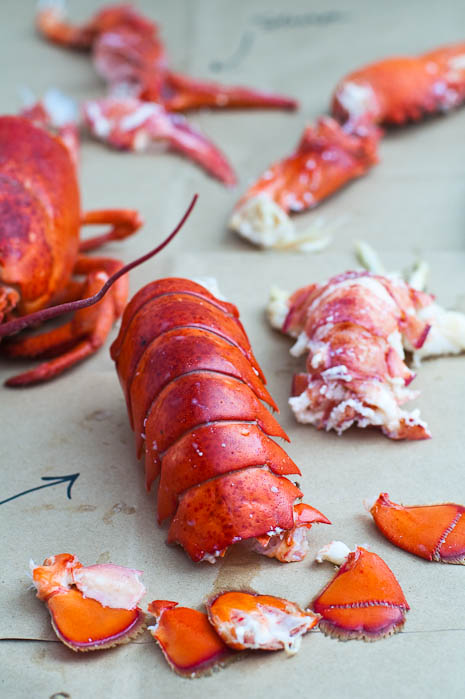 Lobster Parts | Umami Girl