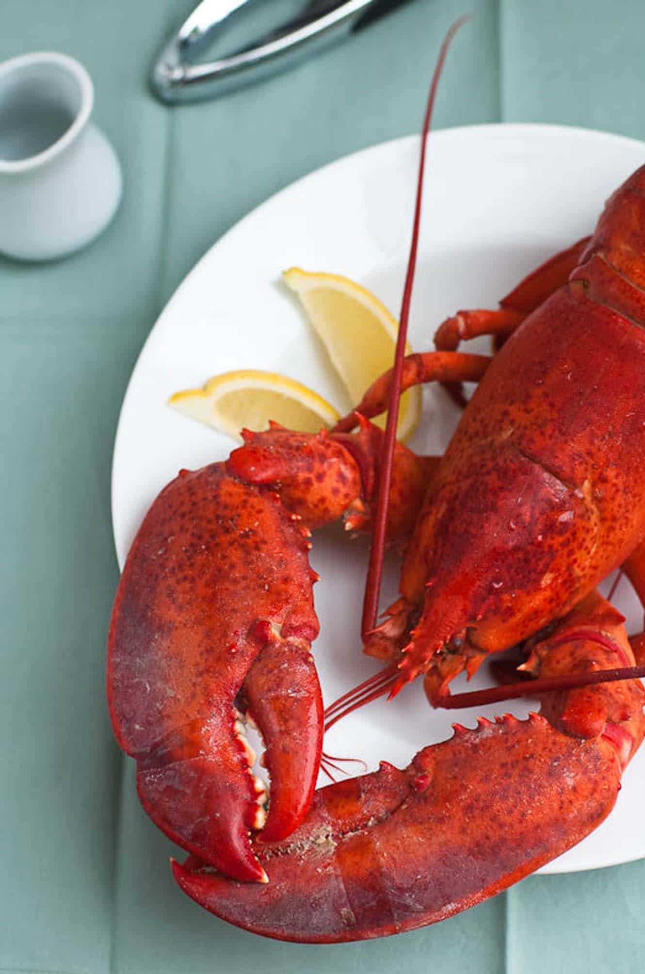 a whole lobster on a plate with lemon wedges, melted butter, and a lobster cracker