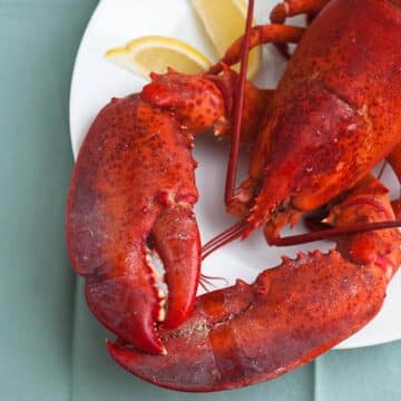 cooking live lobster and how to eat a whole lobster