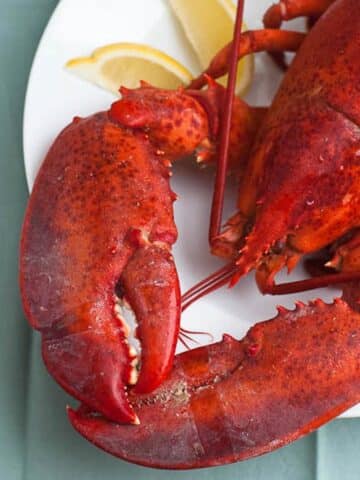 cooking live lobster and how to eat a whole lobster