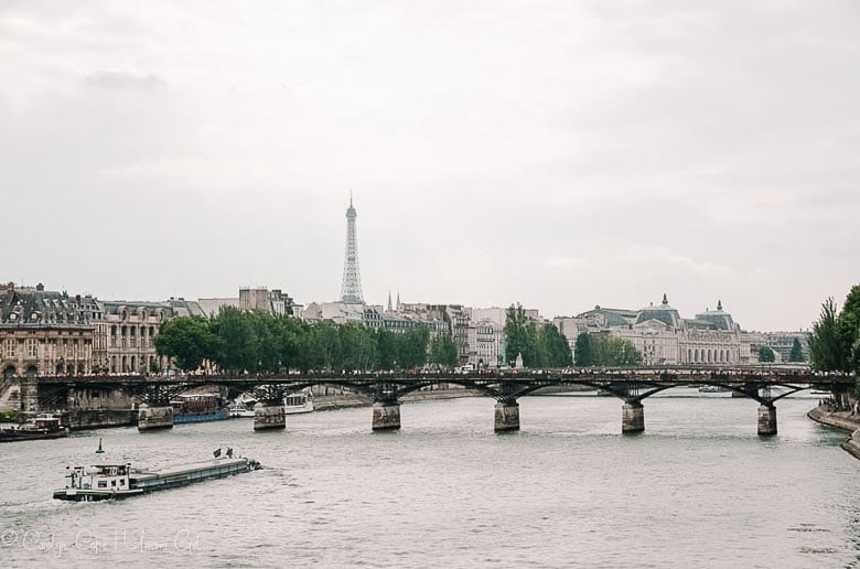 Seine Bridge and Eiffel Tower Paris | Umami Girl 780