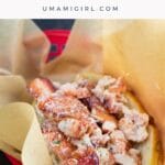the best maine lobster roll in a red takeout basket