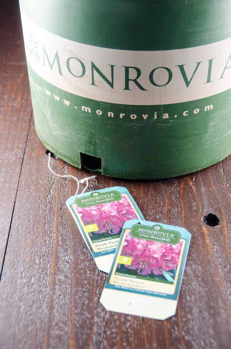 Easy Spring Porch Update Monrovia Colorful Plants 780 | Umami Girl