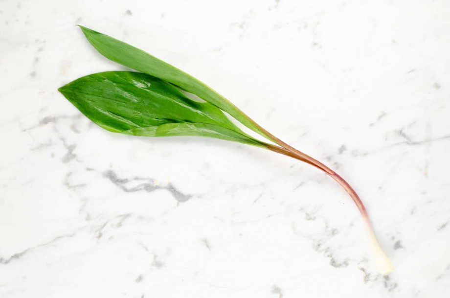 Ingredient Spotlight What to Do with Ramps | Umami Girl