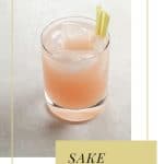 Sake Cocktail PIN | Umami Girl