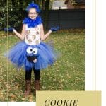 Cookie Monster Costume | Umami Girl