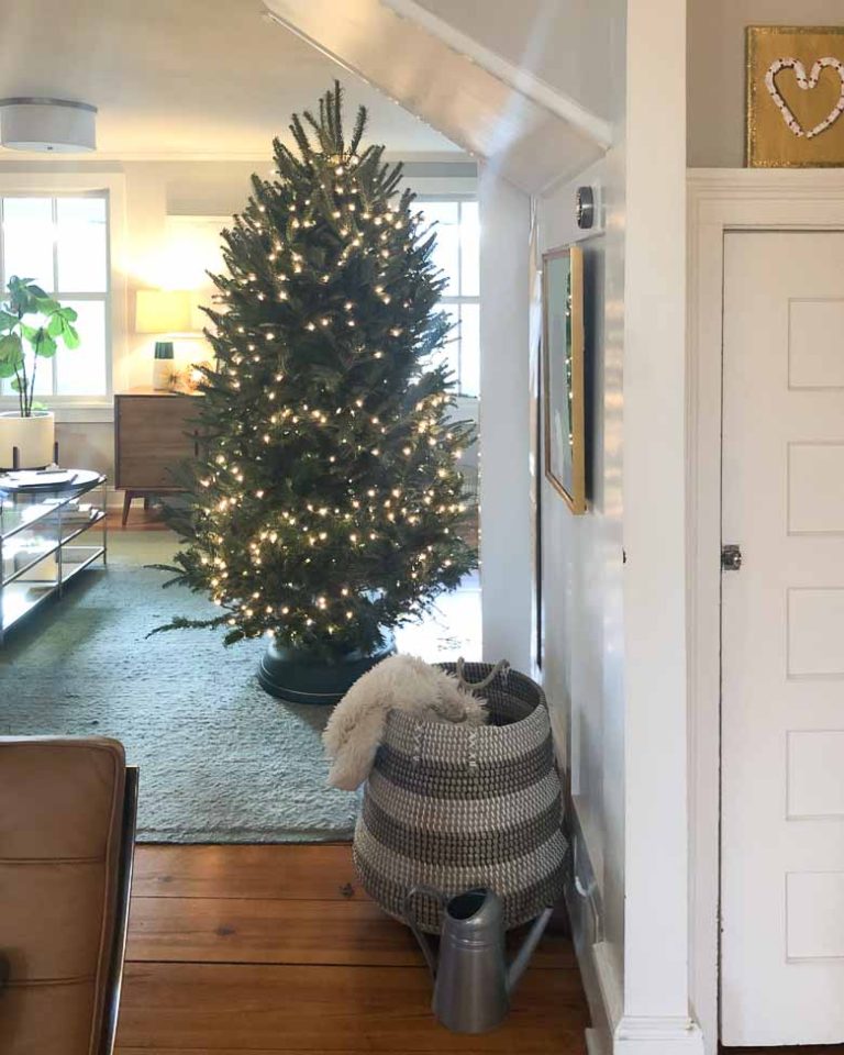 Krinner Tree Genie A LifeChanging Christmas Tree Stand Umami Girl