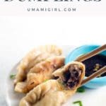 Chinese Pork Dumplings Recipe Pin 2 _ Umami Girl