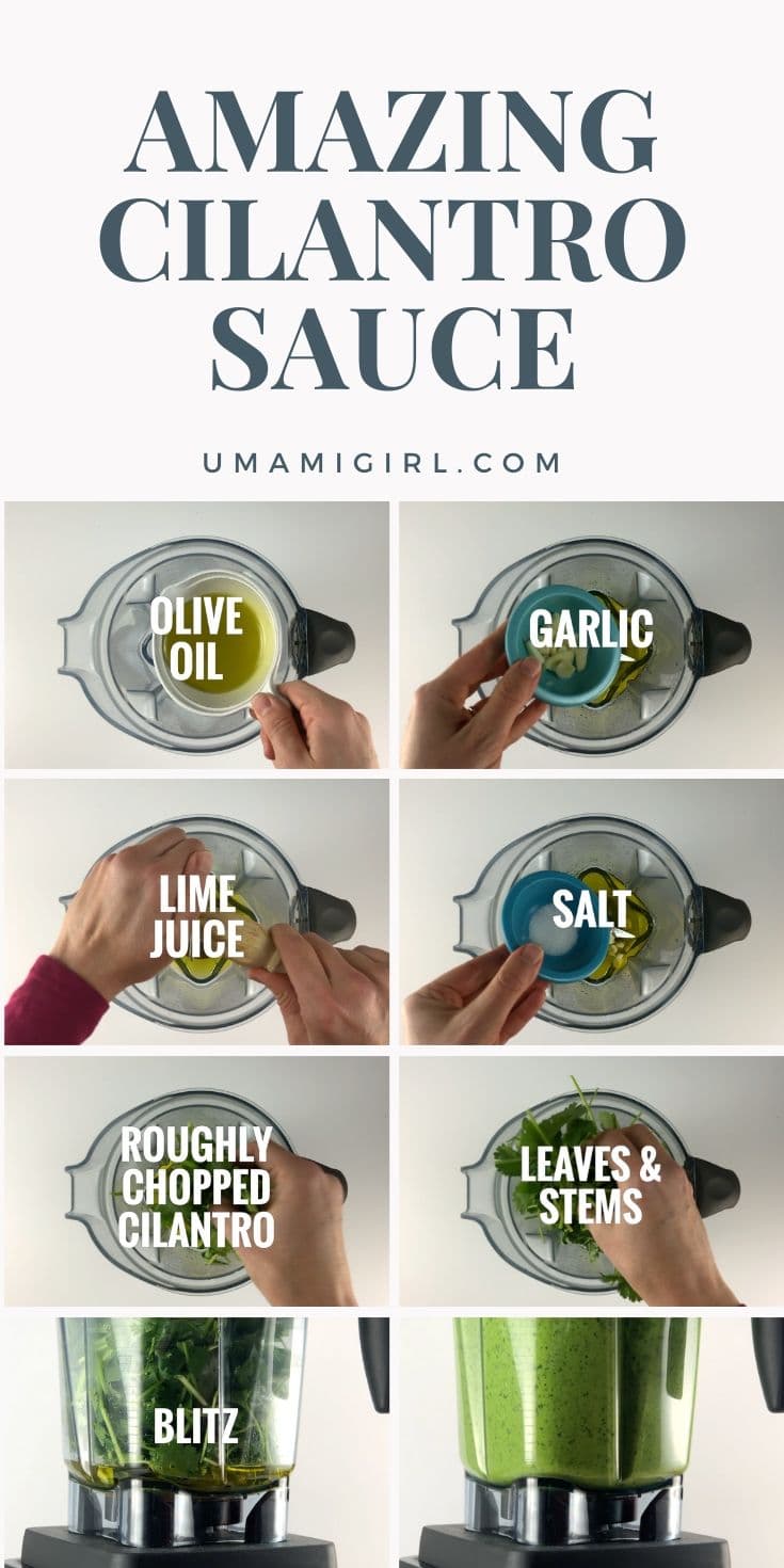 Cilantro Sauce Recipe for Tacos, Nachos, and More Umami Girl