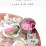 Oysters with Mignonette Granita _ Umami Girl
