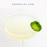 Gin Gimlet Recipe Pin _ Umami Girl