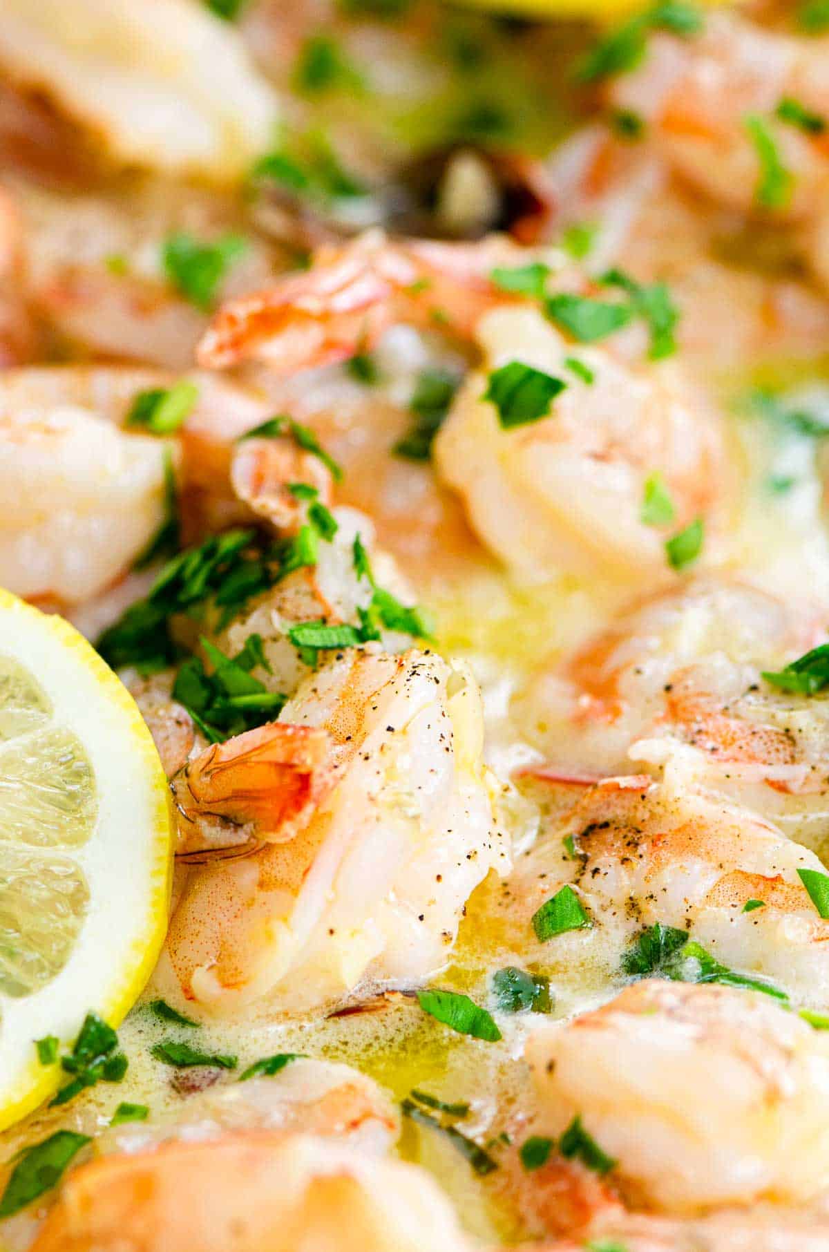 shrimp scampi (spicy or mild) in a pan
