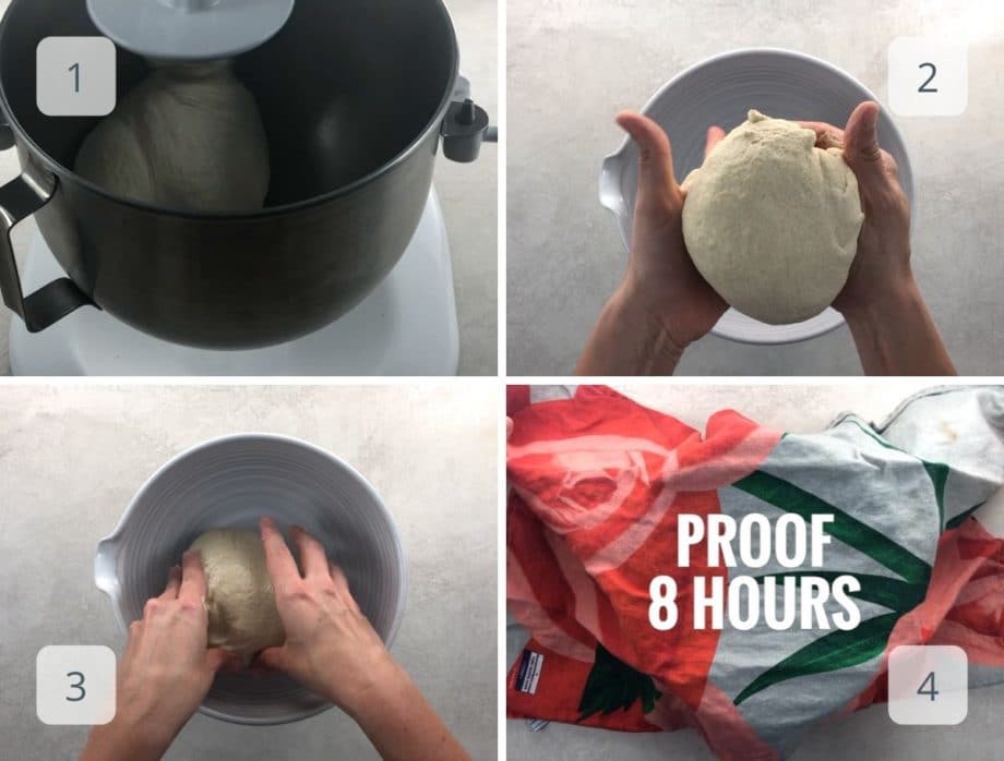 kneading and proofing dough