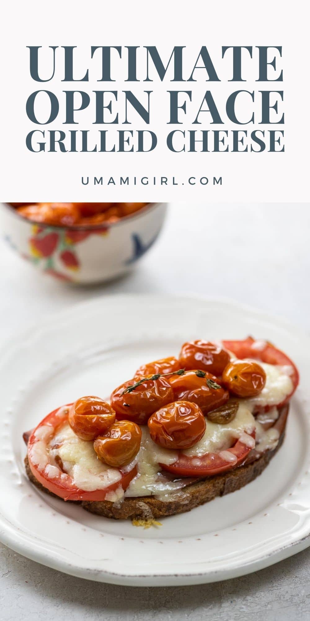 Ultimate Open Face Grilled Cheese with Tomato and Ham Umami Girl