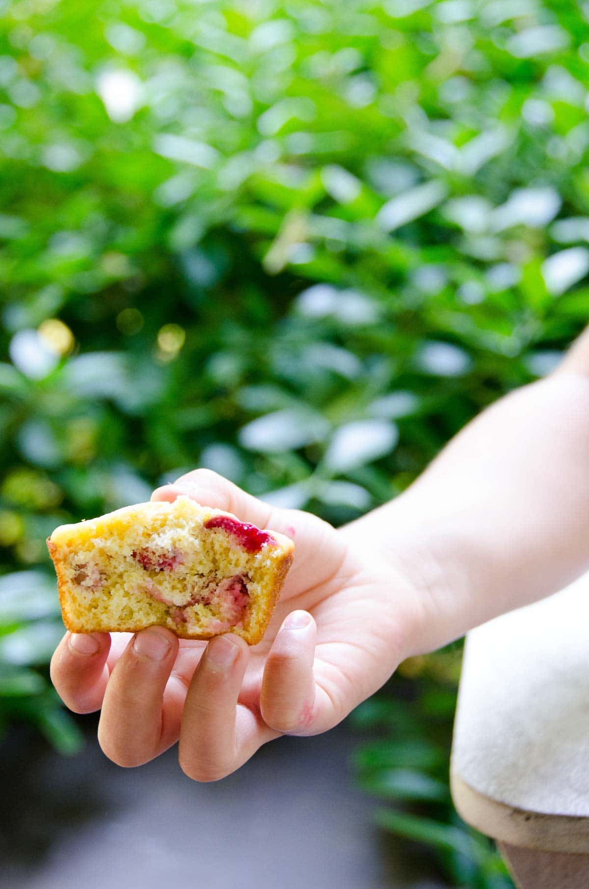 child's hand holding a sour cherry muffin outdoors