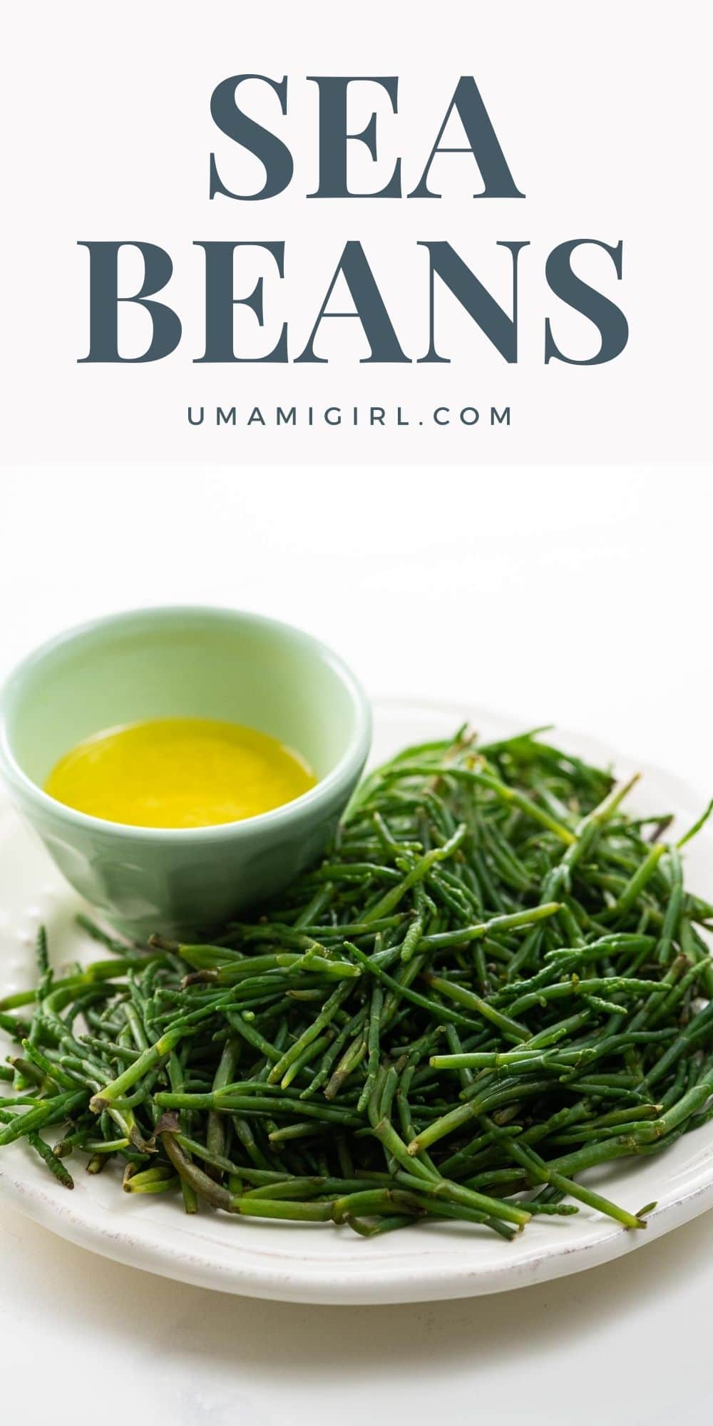 Sea Beans Recipe (a.k.a. Samphire, Salicornia, Glasswort) Umami Girl