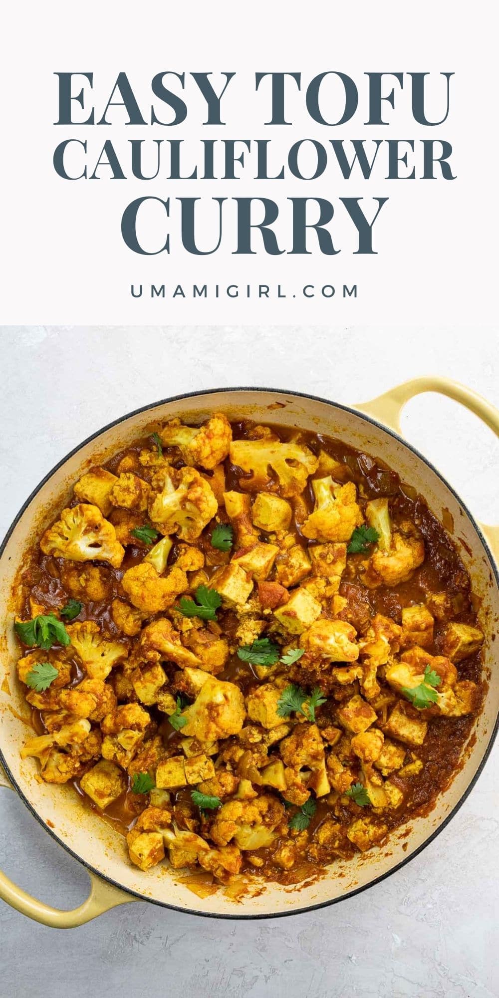 Tofu Cauliflower Curry (Quick & Easy) - Umami Girl