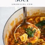 creamy chicken tortellini soup in a pot and a ladle