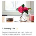 pinterest pin for our sustainable christmas gift, the If Nothing Else bite-sized daily newsletter