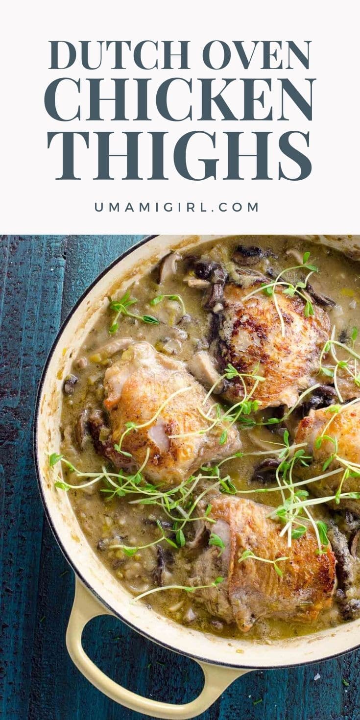 Dutch Oven Chicken Thighs with Leeks, Mushrooms & White Wine Umami Girl