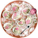 umami girl's oysters with mignonette granita