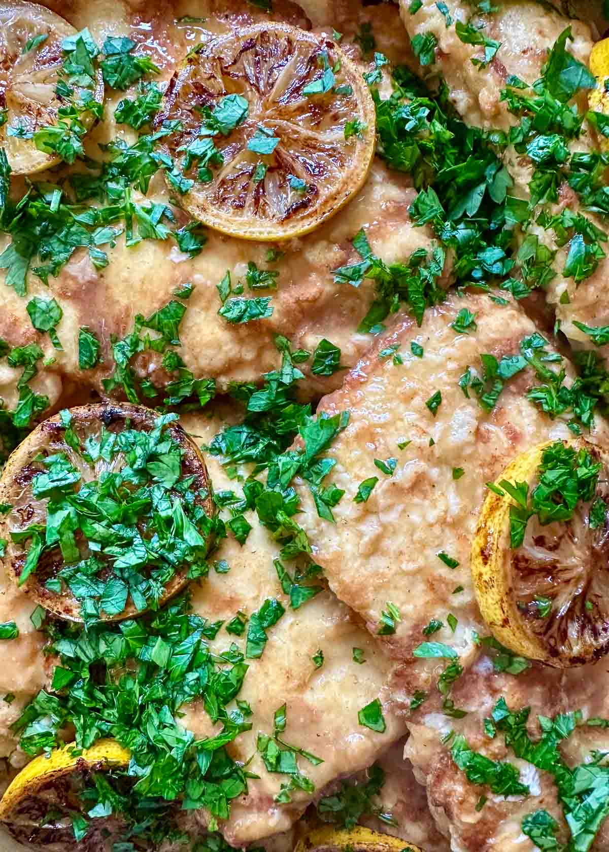 a catering tray of chicken francese