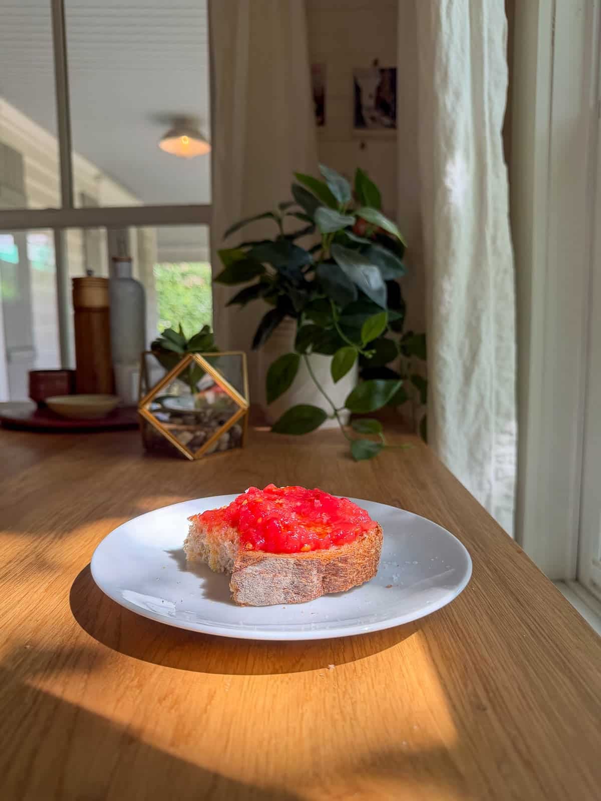 pan con tomate on a plate