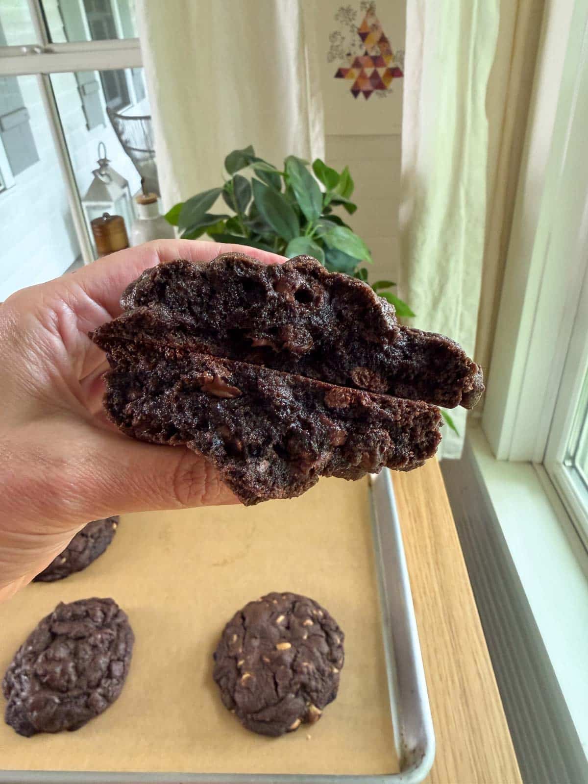 levain bakery dark chocolate chocolate chip cookie