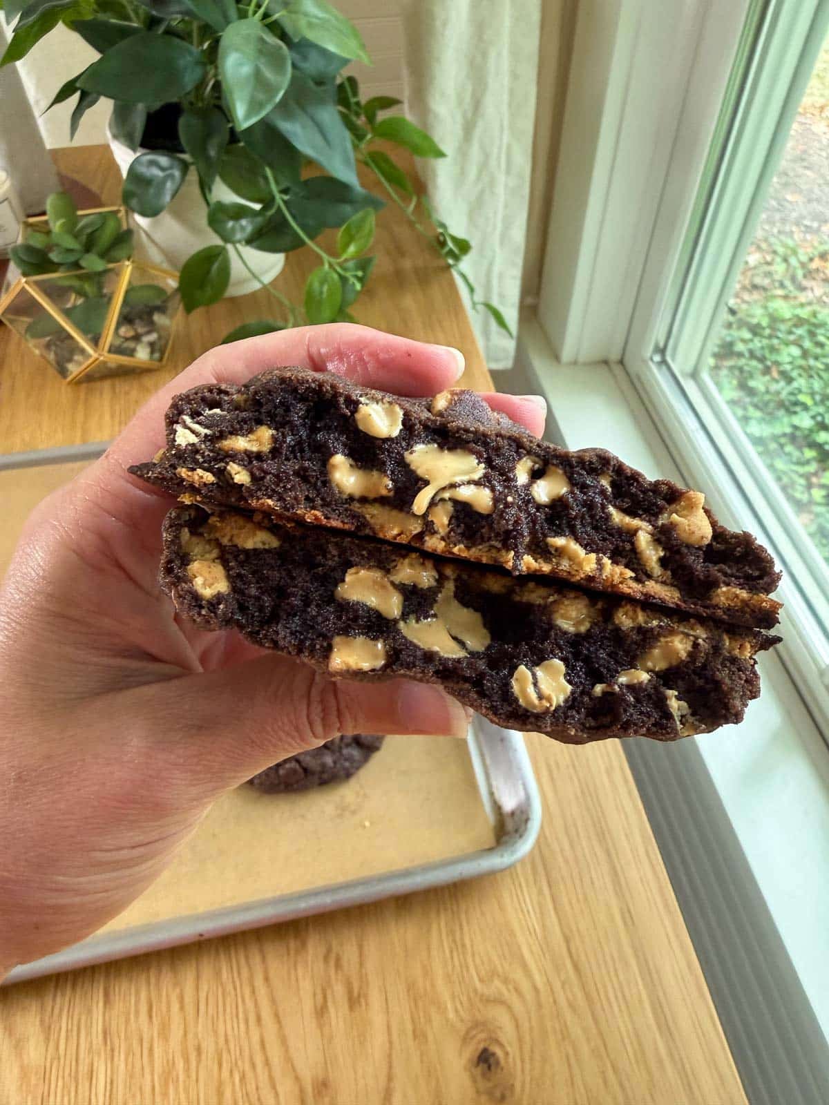 levain bakery dark chocolate peanut butter chip cookie